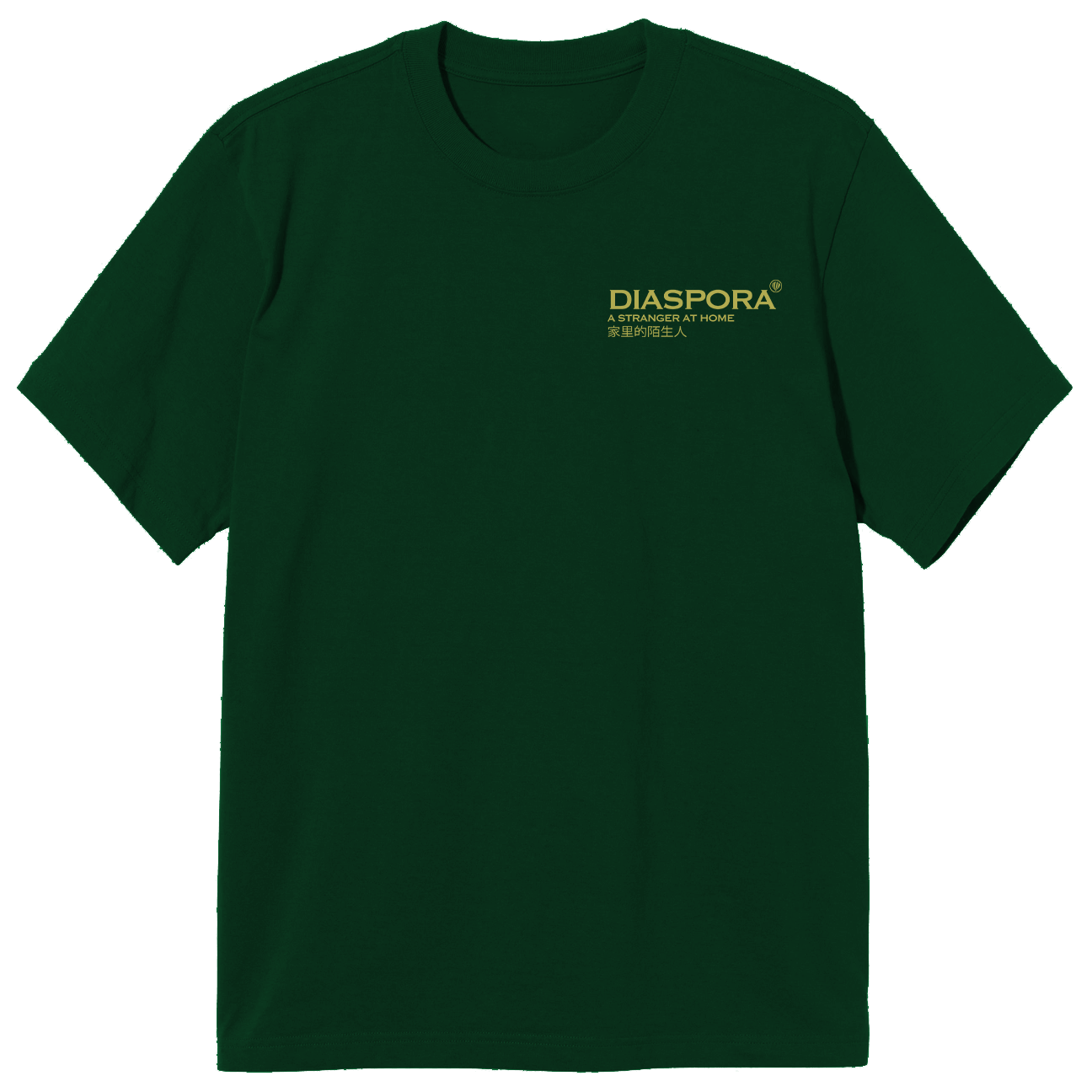 “A STRANGER AT HOME ” T-SHIRT (GREEN)