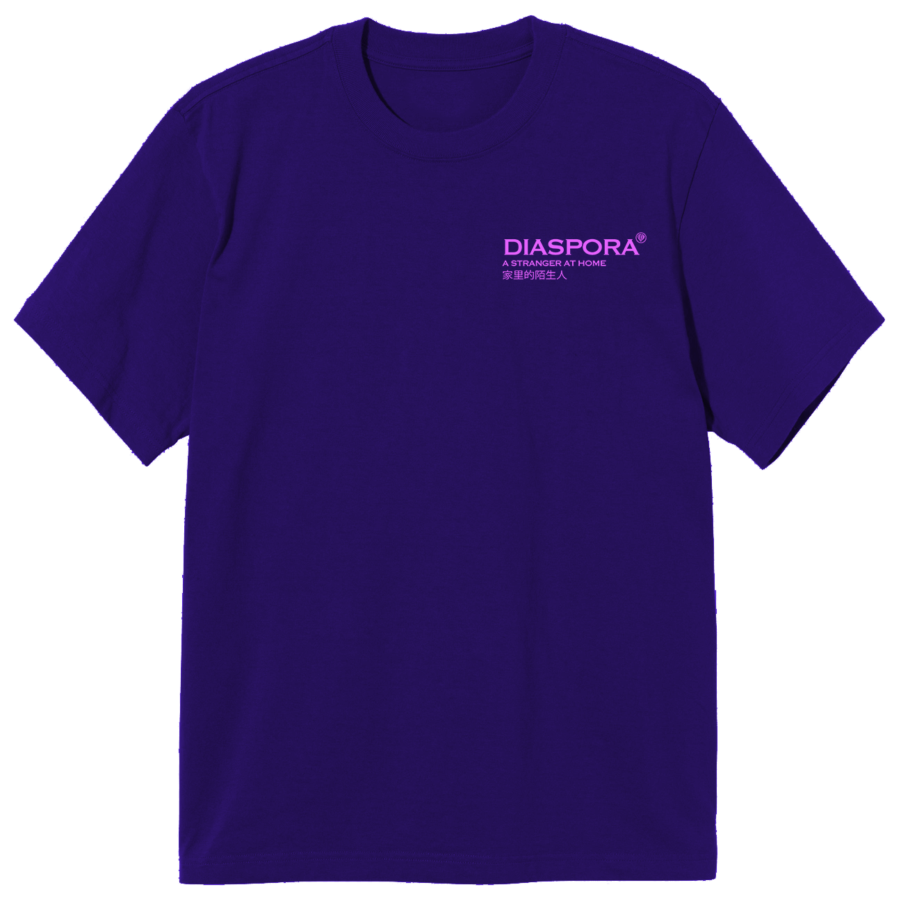 “A STRANGER AT HOME ” T-SHIRT (PURPLE)